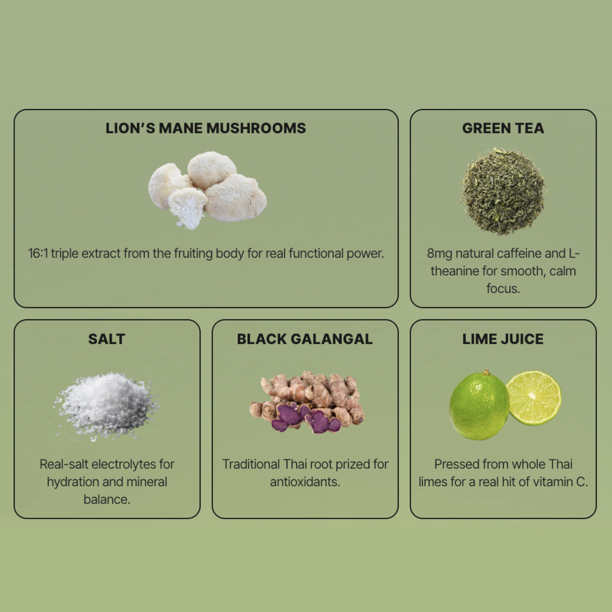 Lion's Mane Sparkling Mushroom Tonic - Earthling